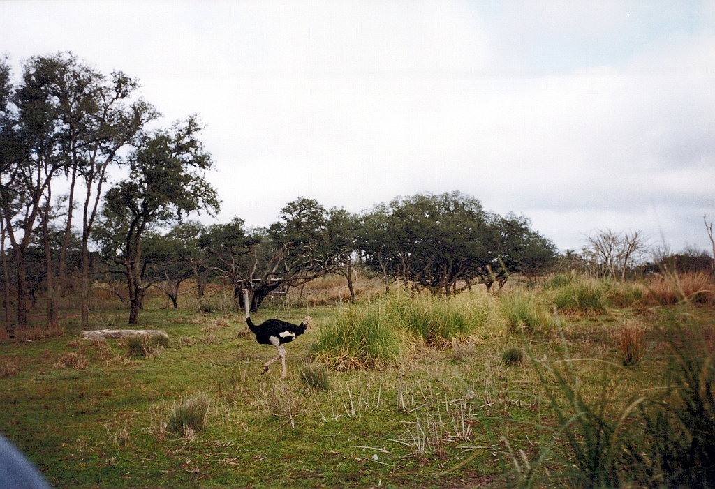 1999 - Floride 18.jpg